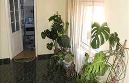 Zona Scortarilor, casa de vanzare, 150 mp cu 350 mp gradina