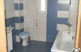 Inchiriere casa D+P+E+M, 250 mp utili, teren 400 mp, ideal sediu de firma!