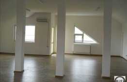 Inchiriere casa D+P+E+M, 250 mp utili, teren 400 mp, ideal sediu de firma!