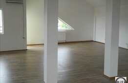Inchiriere casa D+P+E+M, 250 mp utili, teren 400 mp, ideal sediu de firma!