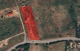 Teren intravilan - 4200 mp, parcelabil, construibil, cu livada, Răscruci