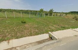 Teren intravilan - 4200 mp, parcelabil, construibil, cu livada, Răscruci