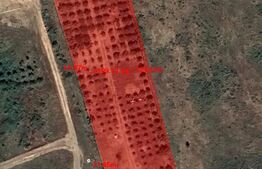 Investiție!Teren intravilan 4200 mp,parcelabil,construibil, cu livada, Răscruci!