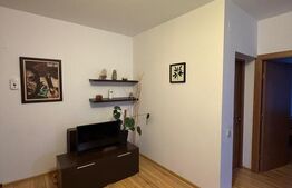 Apartament 2 camere, 50 mp, parcare, zona Buna ziua