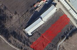 Investitie ! Teren intravilan 4800 mp, pretabil PUZ , Triajului -Baciu !