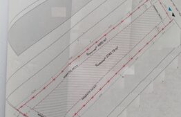 Investitie ! Teren intravilan 4800 mp, pretabil PUZ , Triajului -Baciu !