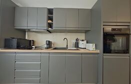 Apartament cu 2 camere de închiriat, strada Rodnei, COMISION 0%