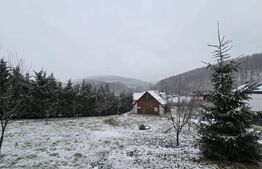 Casa individuala, cu teren de 1200 mp - Salicea