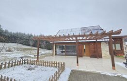 Casa individuala, cu teren de 1200 mp - Salicea