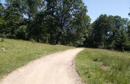 Exclusivitate! Teren Intravilan - 3339 mp - Poiana Brasov – Investiție Turistică