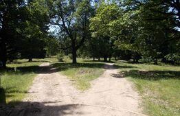 Exclusivitate! Teren Intravilan - 3339 mp - Poiana Brasov – Investiție Turistică