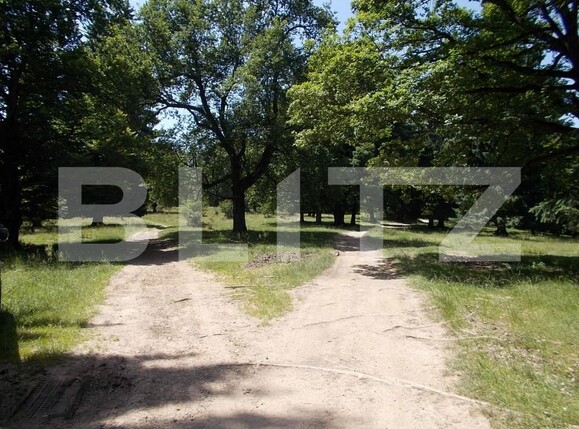 Teren de vânzare Poiana Brasov - 188347TV | BLITZ Brașov | Poza1