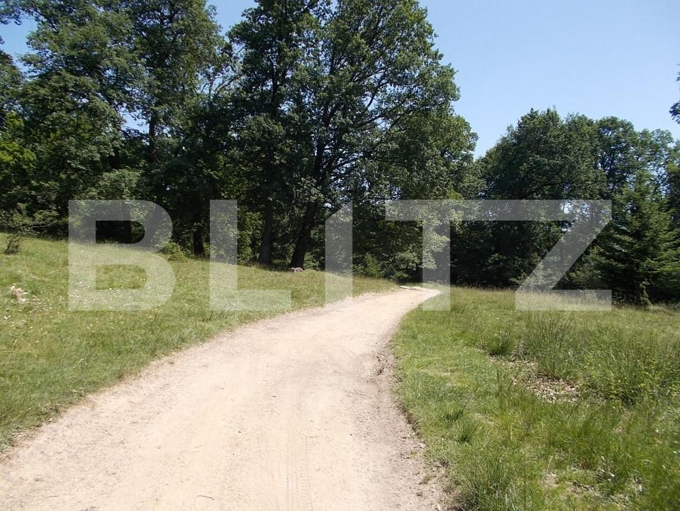 Teren de vânzare Poiana Brasov - 188347TV | BLITZ Brașov | Poza2