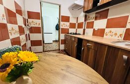 Apartament 2 camere de închiriat, Centru Civic