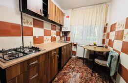 Apartament 2 camere de închiriat, Centru Civic