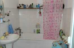 Casa de vanzare 100 mp utili cu 405 mp gradina, zona Suceava