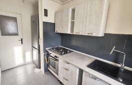 Apartament 2 camere, 46 mp, pet friendly, Zona Astra