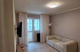 Apartament 2 camere, 46 mp, pet friendly, Zona Astra