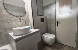 Apartament 2 camere, 46 mp, pet friendly, Zona Astra