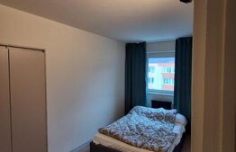 Apartament 2 camere, 46 mp, pet friendly, Zona Astra