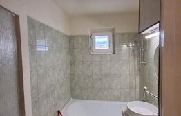 Apartament 2 camere, 46 mp, pet friendly, Zona Astra