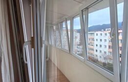 Apartament 2 camere, 46 mp, pet friendly, Zona Astra