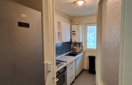 Apartament 2 camere, 46 mp, pet friendly, Zona Astra