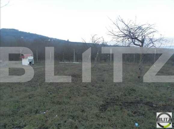 Casa de vânzare 4 camere Dambul Rotund - 18841CV | BLITZ Cluj-Napoca | Poza15