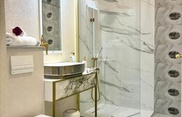 Studio, LUX, Zona Calea Floresti, Prima inchiriere