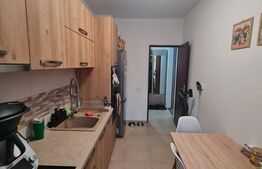 Apartament mobilat si utilat, 2 camere, 54 mp utili, parcare, zona Roata Faget