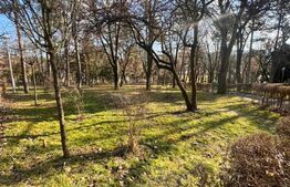 Garsonieră luminoasă, etaj superior, lângă parc – Gheorgheni, Cluj-Napoca