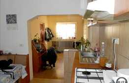 Casa de vanzare in Dambul Rotund, 90 mp totali utili cu 426 mp teren