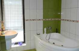 Vanzare casa in Faget, 240 mp utili cu 550 mp teren, in apropierea padurii