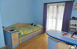 Vanzare casa in Faget, 240 mp utili cu 550 mp teren, in apropierea padurii