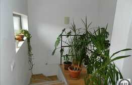 Vanzare casa in Faget, 240 mp utili cu 550 mp teren, in apropierea padurii