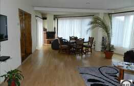 Vanzare casa in Faget, 240 mp utili cu 550 mp teren, in apropierea padurii