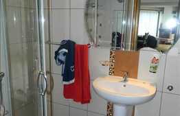 Vanzare casa in Faget, 240 mp utili cu 550 mp teren, in apropierea padurii