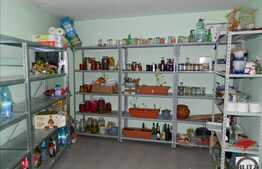 Vanzare casa in Faget, 240 mp utili cu 550 mp teren, in apropierea padurii