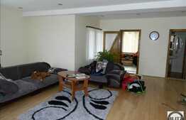 Vanzare casa in Faget, 240 mp utili cu 550 mp teren, in apropierea padurii