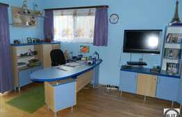 Vanzare casa in Faget, 240 mp utili cu 550 mp teren, in apropierea padurii