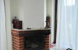 Vanzare casa in Faget, 240 mp utili cu 550 mp teren, in apropierea padurii