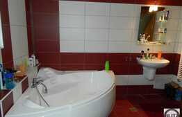 Vanzare casa in Faget, 240 mp utili cu 550 mp teren, in apropierea padurii