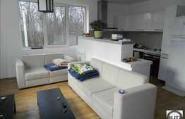 Vanzare casa, 246 mp utili, cu teren de 800 mp, front 25 ml, cu terasa de 100 mp