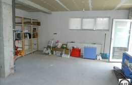 Vanzare casa, 246 mp utili, cu teren de 800 mp, front 25 ml, cu terasa de 100 mp