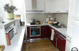 Vanzare casa, 246 mp utili, cu teren de 800 mp, front 25 ml, cu terasa de 100 mp