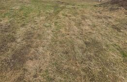 Teren de vânzare Tăuţi - 149900TV | BLITZ Cluj-Napoca | Poza4