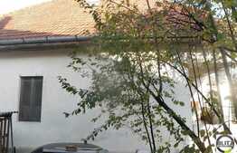 Casa de vanzare, 216 mp cu 800 mp teren si front de 19 ml, zona de exceptie