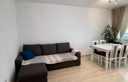 Apartament 3 camere, 60 mp, terasa, finisat, mobilat, zona Traian Vuia