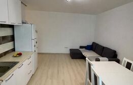 Apartament 3 camere, 60 mp, terasa, finisat, mobilat, zona Traian Vuia