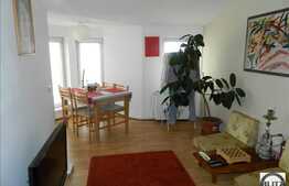 Casa de vanzare, 240 mp utili, cu teren 430 mp, front de 14 ml, zona V. Lupu